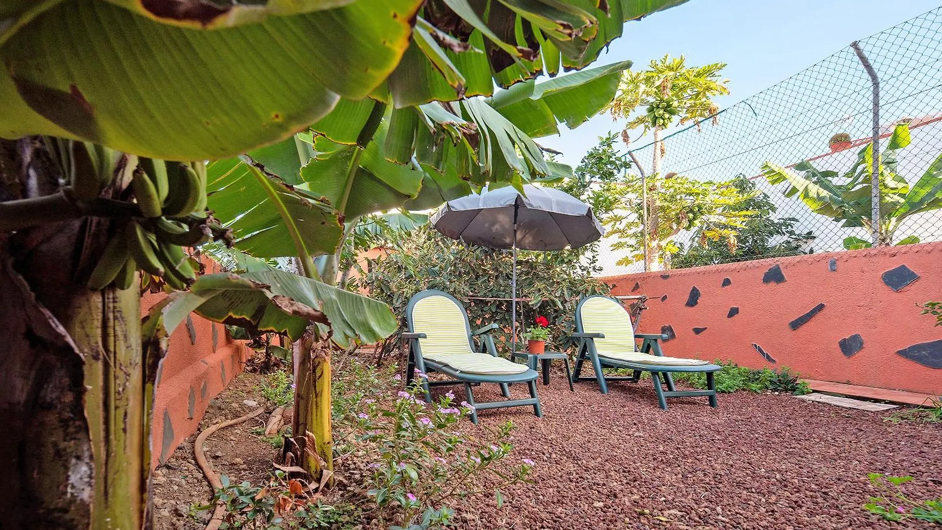 Casa Teresa Villa La Guancha