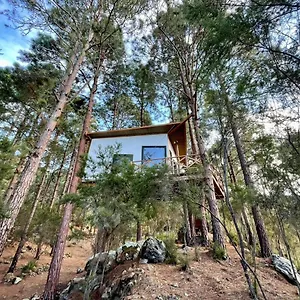  Сasa de vacaciones Casita Colgada Lia